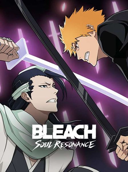 Bleach Soul Resonance